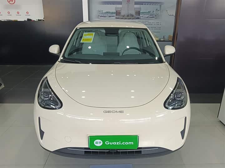 Geely Galaxy Geome 2026 2026款 310km 青春版