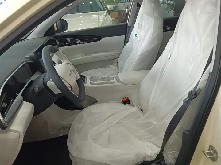 Geely Galaxy Geome 2026 2026款 310km 青春版