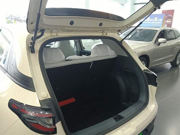 Geely Galaxy Geome 2026 2026款 310km 青春版