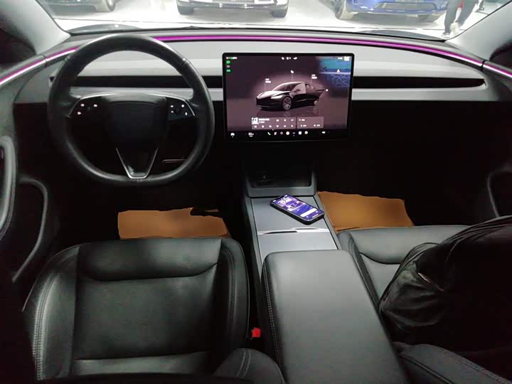 Tesla Model 3 2023 2023款 长续航全轮驱动版