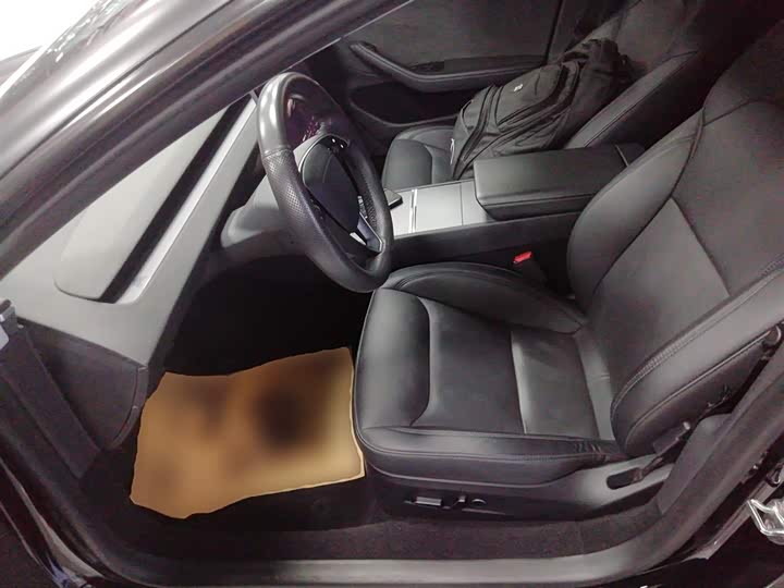 Tesla Model 3 2023 2023款 长续航全轮驱动版