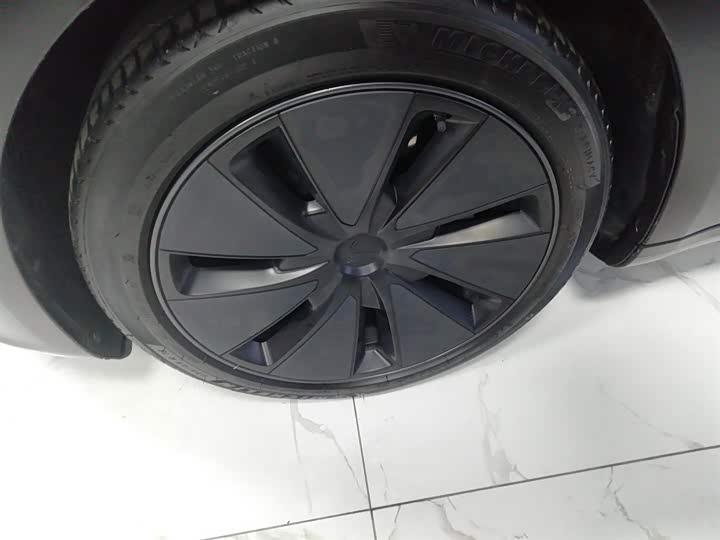 Tesla Model 3 2023 2023款 长续航全轮驱动版