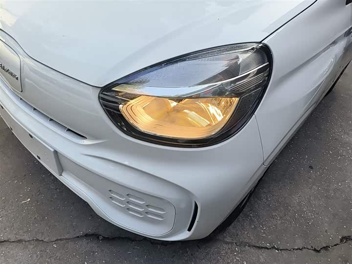 Roewe Clever 2022 2022款 311km元气啵啵版