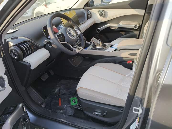 BYD Yuan Plus 2024 2024款 荣耀版 430KM 超越型