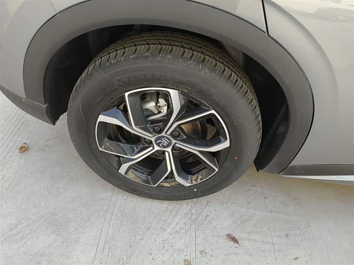 BYD Yuan Plus 2024 2024款 荣耀版 430KM 超越型