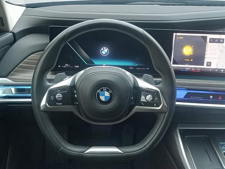 BMW 7 Series 2023 2023款 735Li 豪华套装