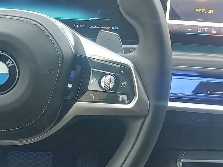 BMW 7 Series 2023 2023款 735Li 豪华套装