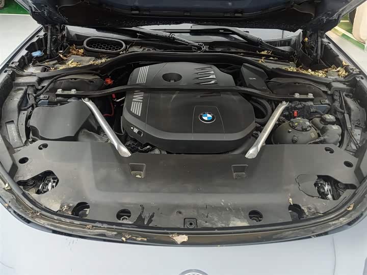 BMW 7 Series 2023 2023款 735Li 豪华套装