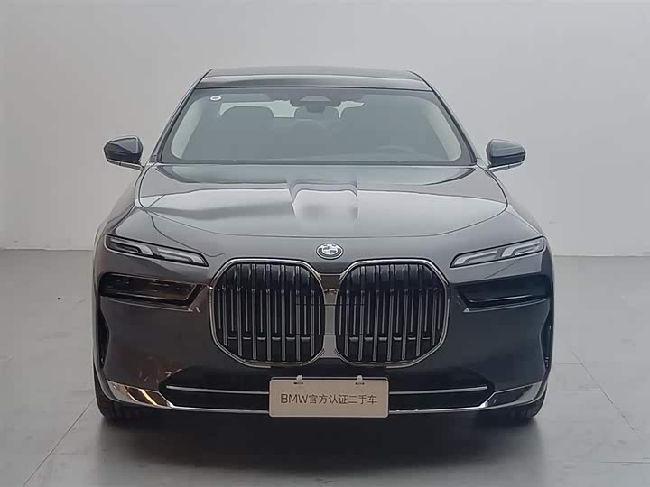 BMW 7 Series 2023 2023款 735Li 豪华套装