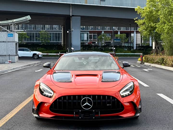 Mercedes-Benz AMG GT 2021 2021款 AMG GT Black Series