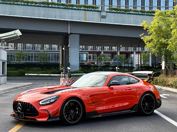 Mercedes-Benz AMG GT 2021 2021款 AMG GT Black Series
