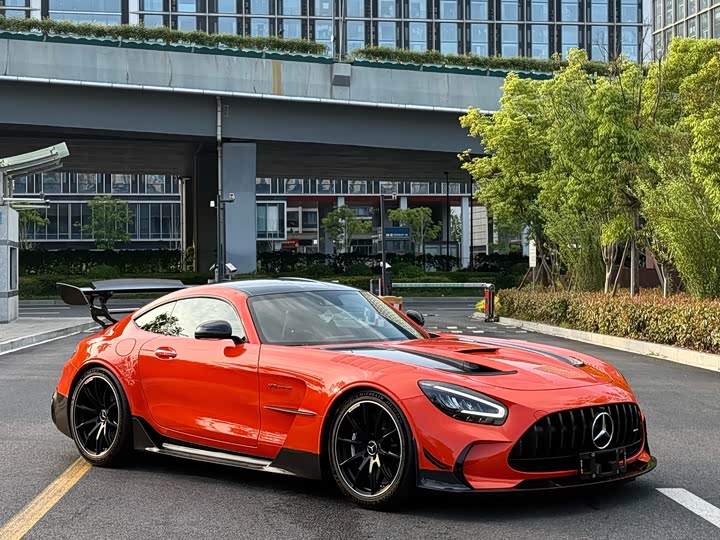 Mercedes-Benz AMG GT 2021 2021款 AMG GT Black Series