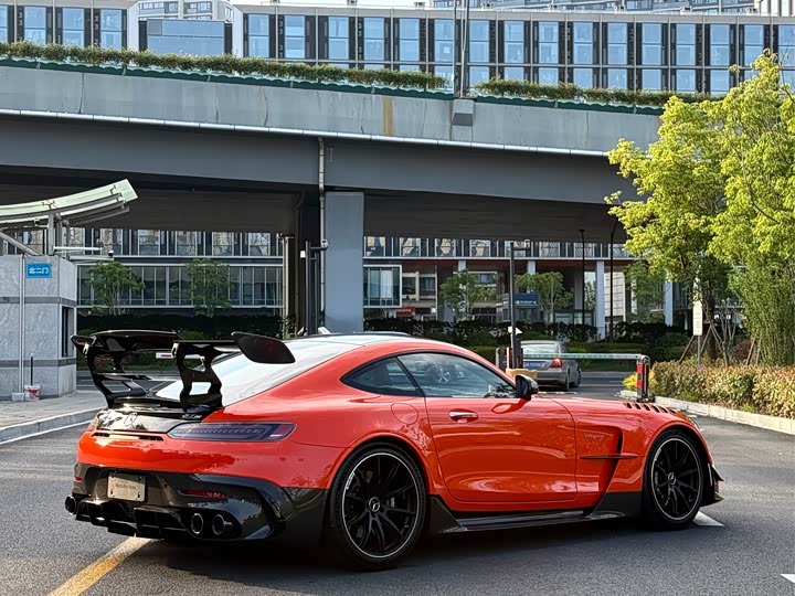 Mercedes-Benz AMG GT 2021 2021款 AMG GT Black Series