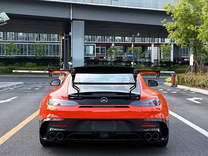 Mercedes-Benz AMG GT 2021 2021款 AMG GT Black Series