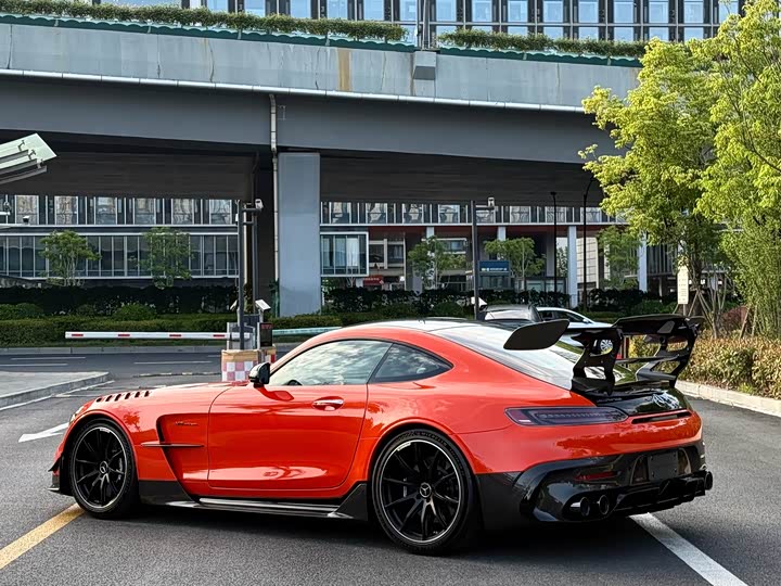 Mercedes-Benz AMG GT 2021 2021款 AMG GT Black Series
