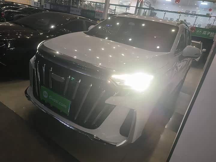 Geely Okavango L 2025 2025款 2.0T DCT尊享款