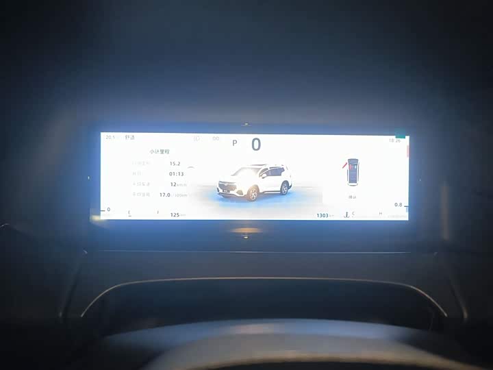 Geely Okavango L 2025 2025款 2.0T DCT尊享款