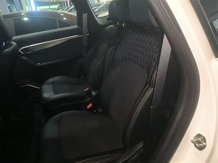 Geely Okavango L 2025 2025款 2.0T DCT尊享款