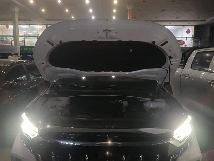 Geely Okavango L 2025 2025款 2.0T DCT尊享款