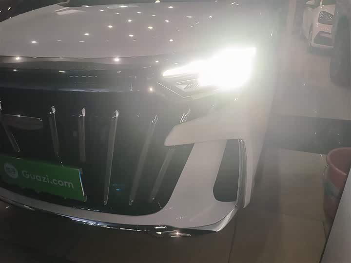 Geely Okavango L 2025 2025款 2.0T DCT尊享款