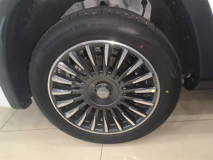 Geely Okavango L 2025 2025款 2.0T DCT尊享款