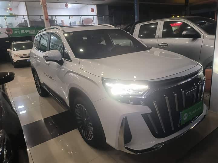 Geely Okavango L 2025 2025款 2.0T DCT尊享款