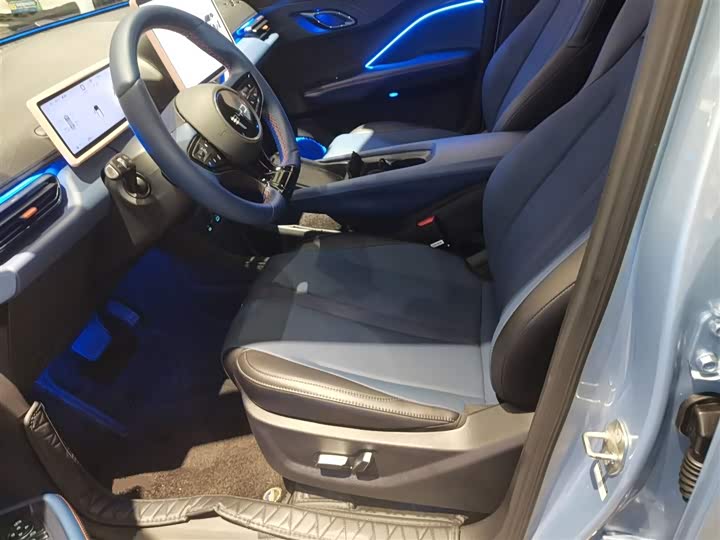 BYD Seagull 2025 2025款 305km 自由版