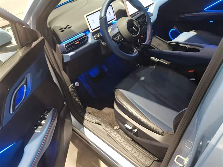 BYD Seagull 2025 2025款 305km 自由版