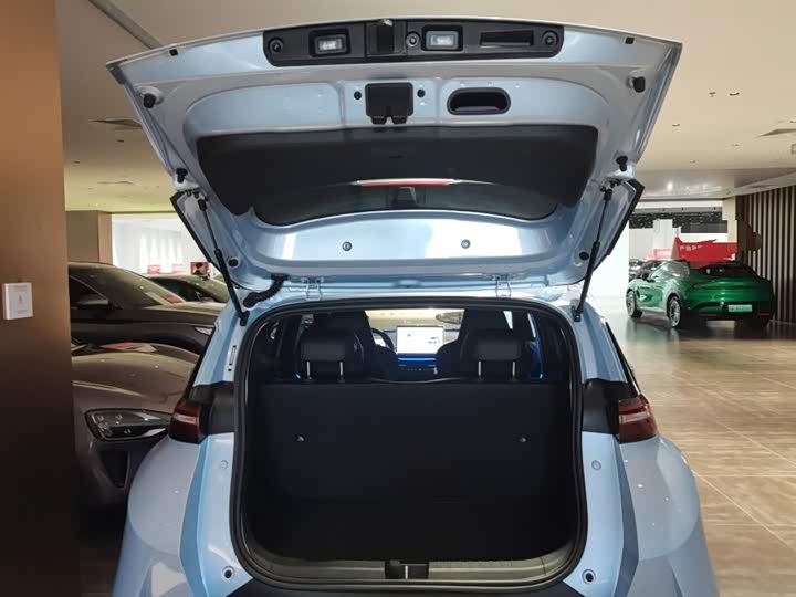 BYD Seagull 2025 2025款 305km 自由版