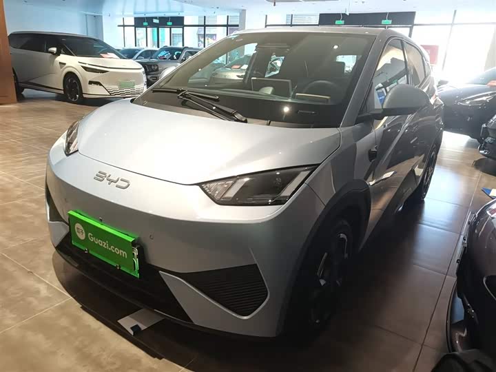 BYD Seagull 2025 2025款 305km 自由版