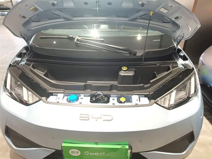 BYD Seagull 2025 2025款 305km 自由版