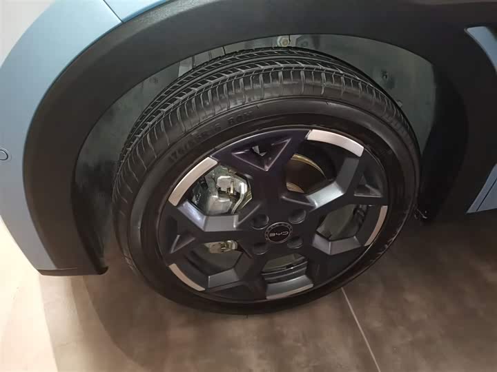 BYD Seagull 2025 2025款 305km 自由版