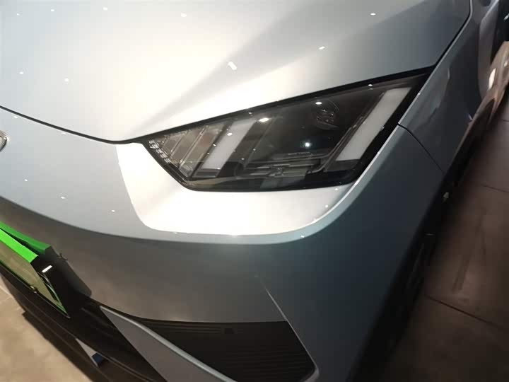 BYD Seagull 2025 2025款 305km 自由版