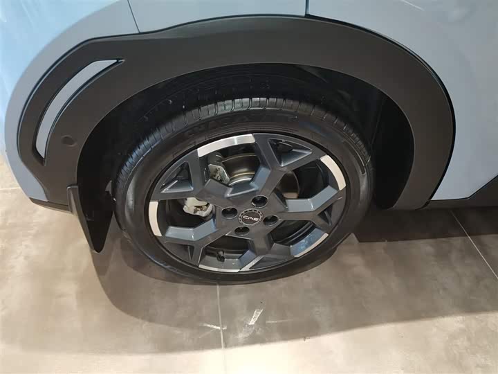 BYD Seagull 2025 2025款 305km 自由版