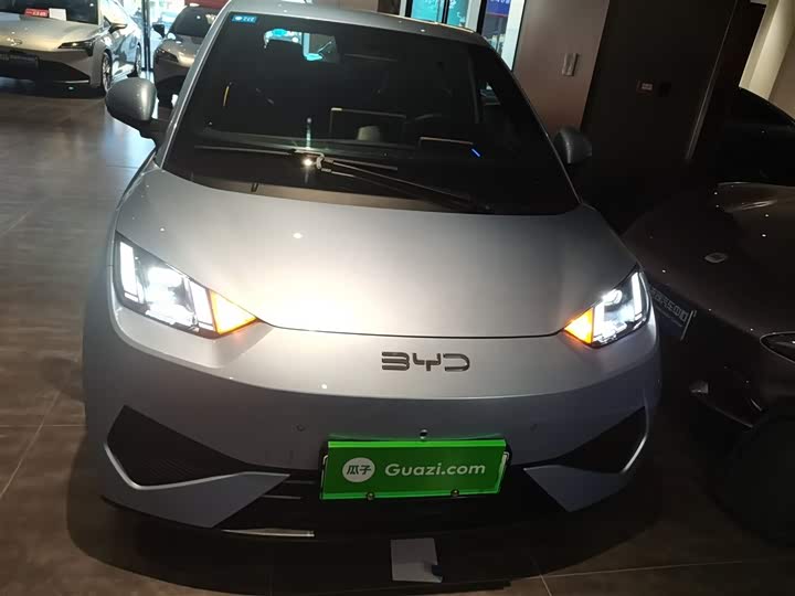 BYD Seagull 2025 2025款 305km 自由版