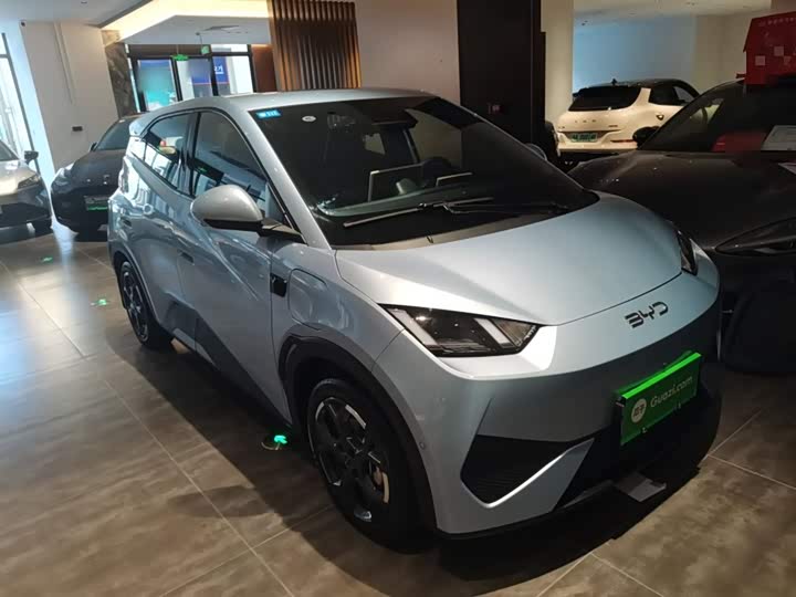 BYD Seagull 2025 2025款 305km 自由版