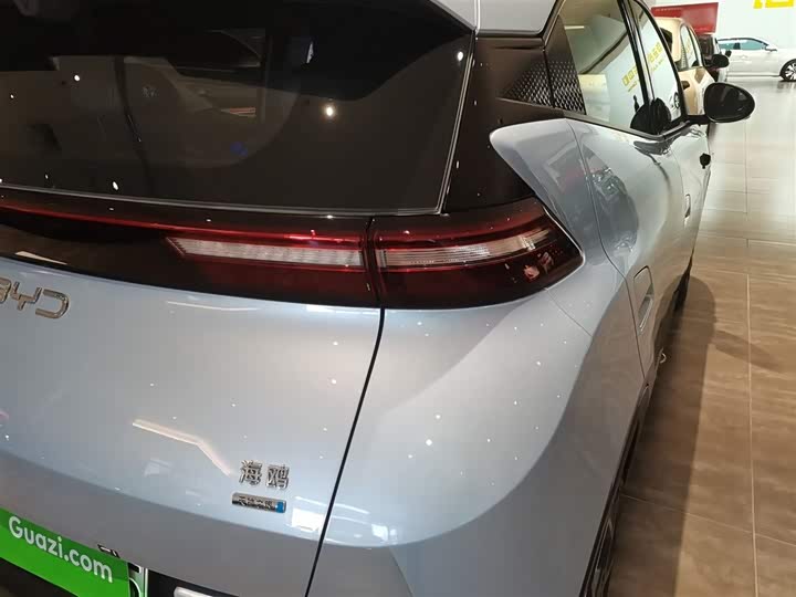 BYD Seagull 2025 2025款 305km 自由版