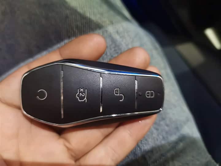 BYD Seagull 2025 2025款 305km 自由版