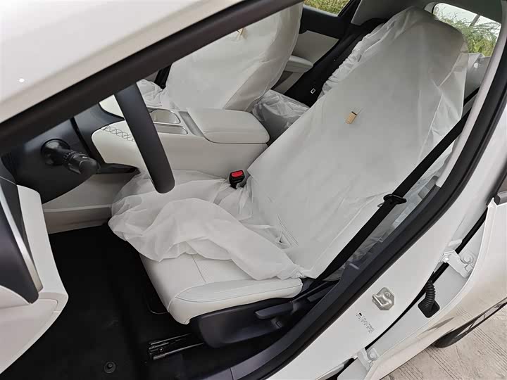 Geely Galaxy Geome 2026 2026款 310km 青春版