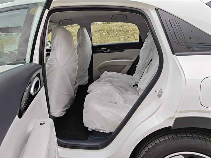 Geely Galaxy Geome 2026 2026款 310km 青春版