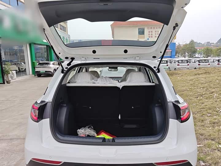 Geely Galaxy Geome 2026 2026款 310km 青春版