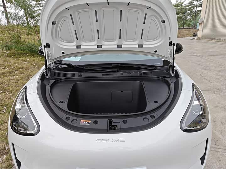 Geely Galaxy Geome 2026 2026款 310km 青春版