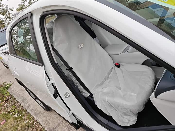 Geely Galaxy Geome 2026 2026款 310km 青春版