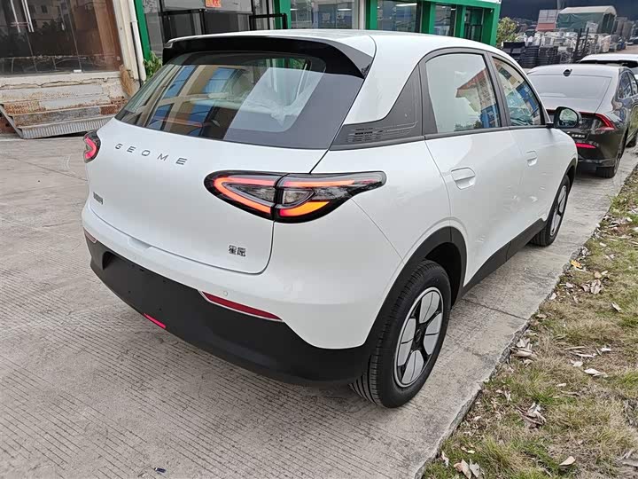 Geely Galaxy Geome 2026 2026款 310km 青春版
