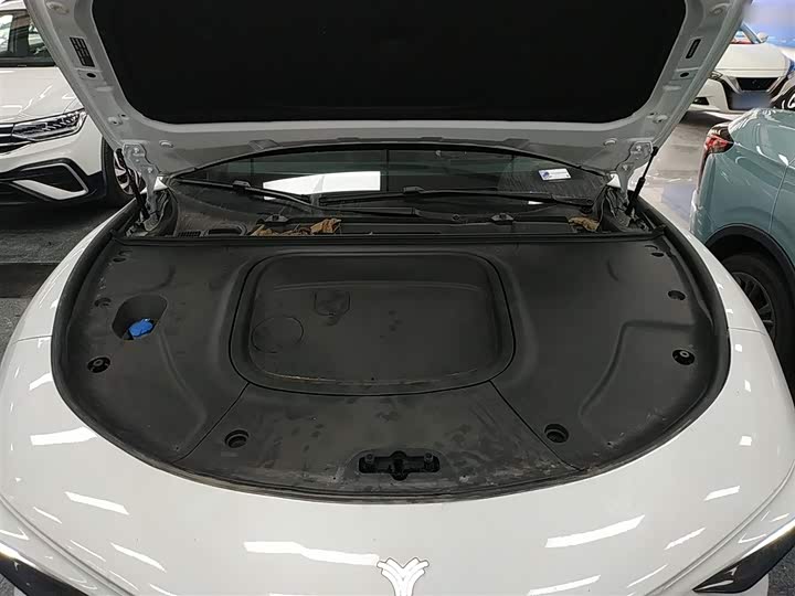 Hozon S Hunting 2024 2024款 增程300 标准版