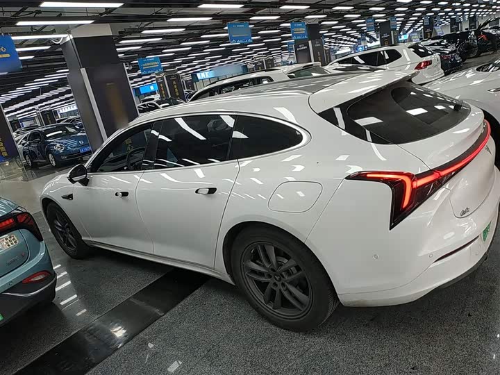 2024 Hozon S Hunting