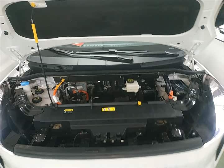 Bestune NAT 2023 2023款 PRO 舒享出行版 419km