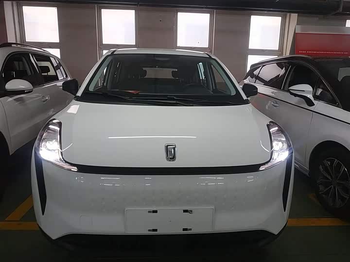 Bestune NAT 2023 2023款 PRO 舒享出行版 419km