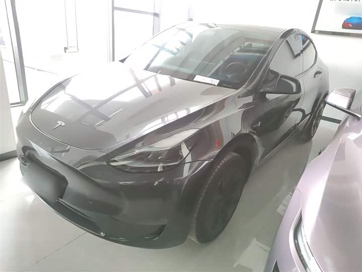 Tesla Model Y 2024 2024款 长续航全轮驱动版