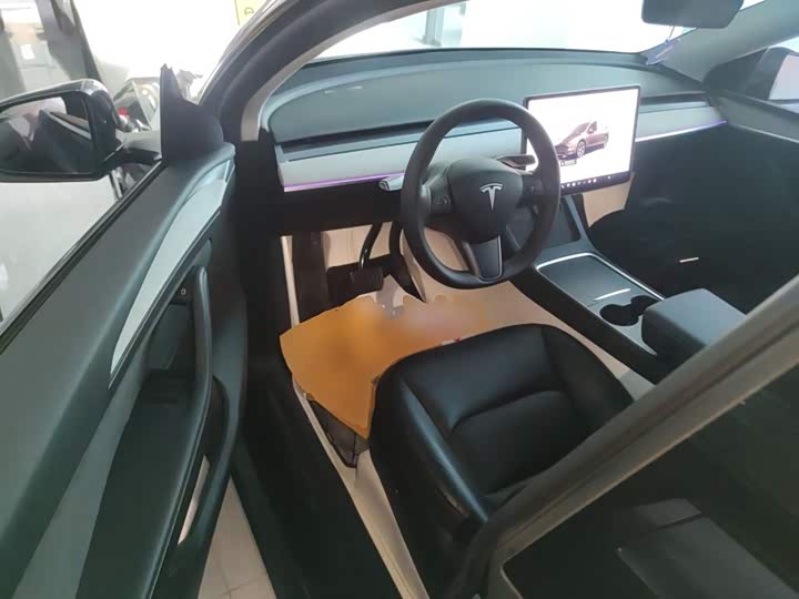 Tesla Model Y 2024 2024款 长续航全轮驱动版
